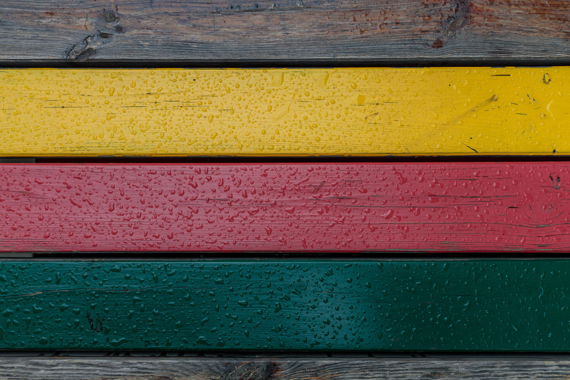 Rain wet motley wooden wall texture