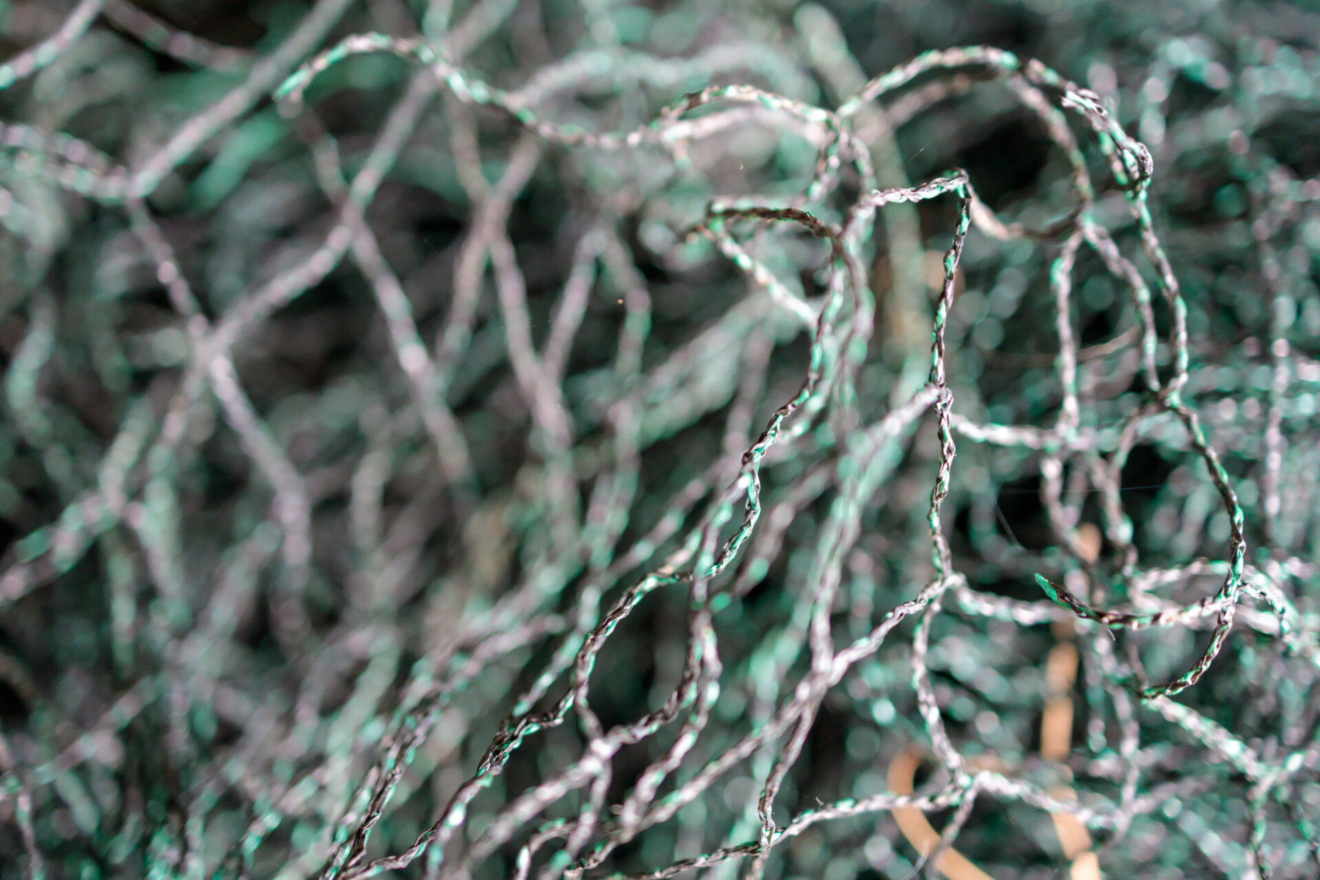 Fishing net from the near