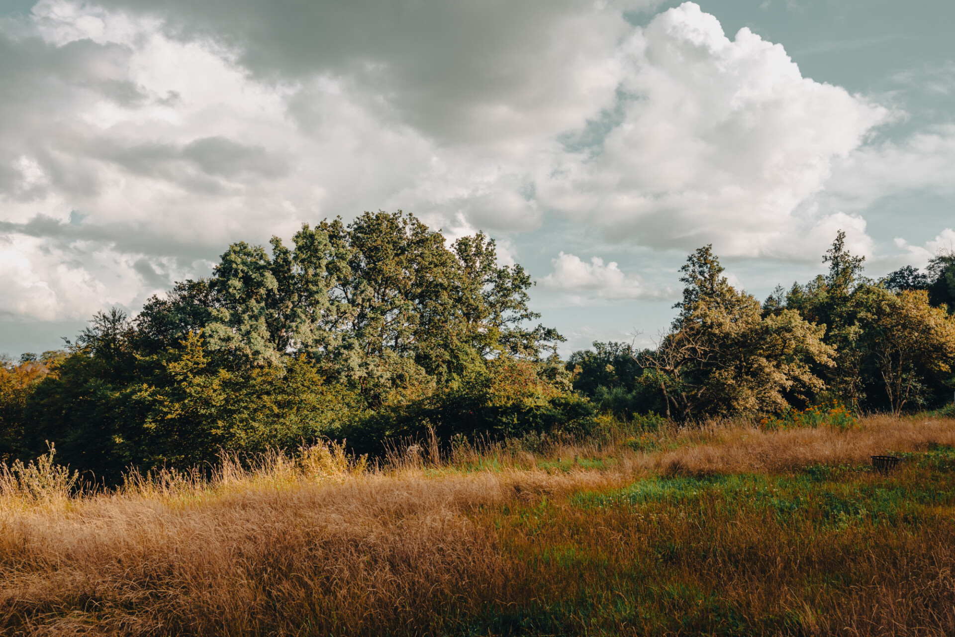 Western style farm land