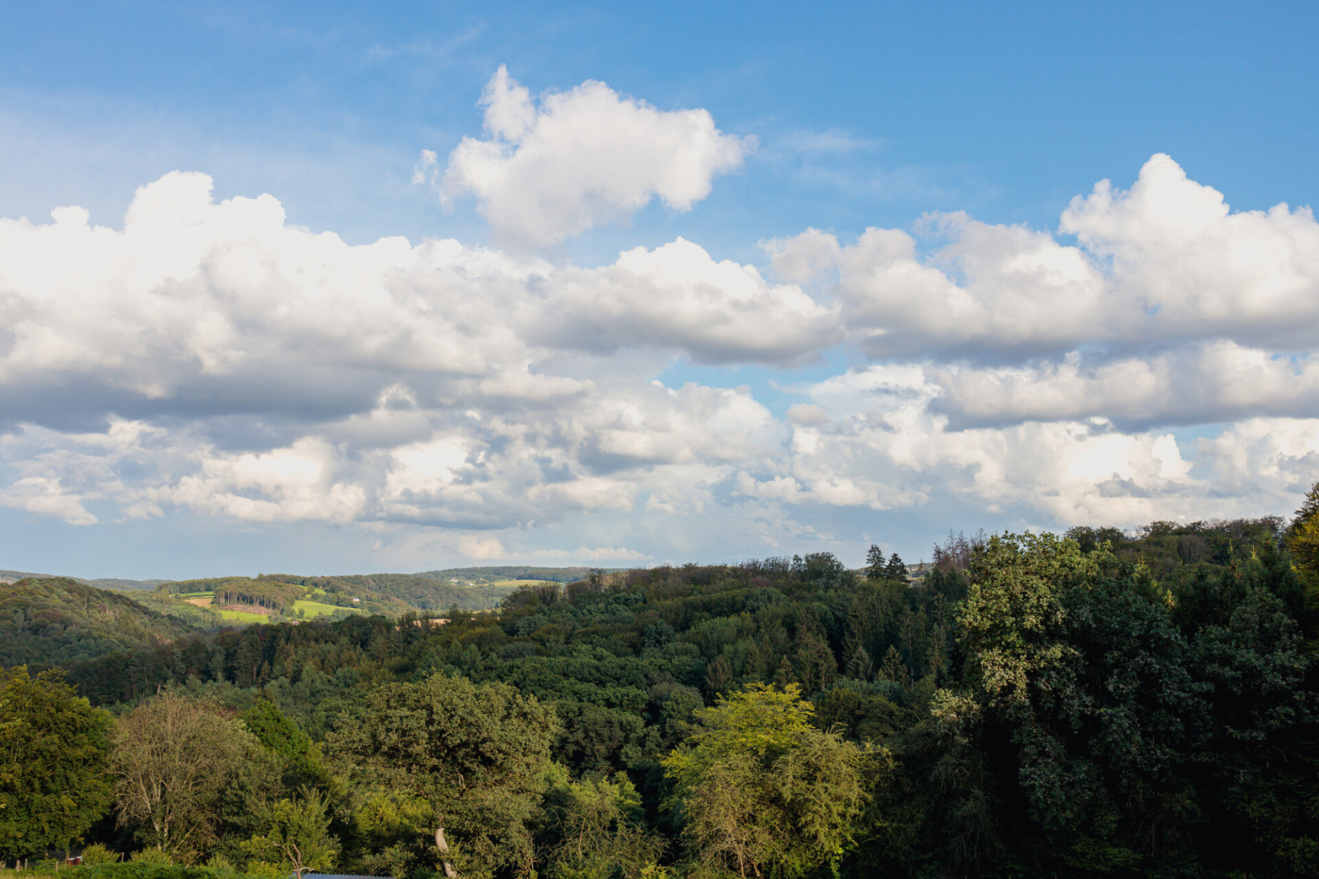 German forest landscape with beautiful clouds