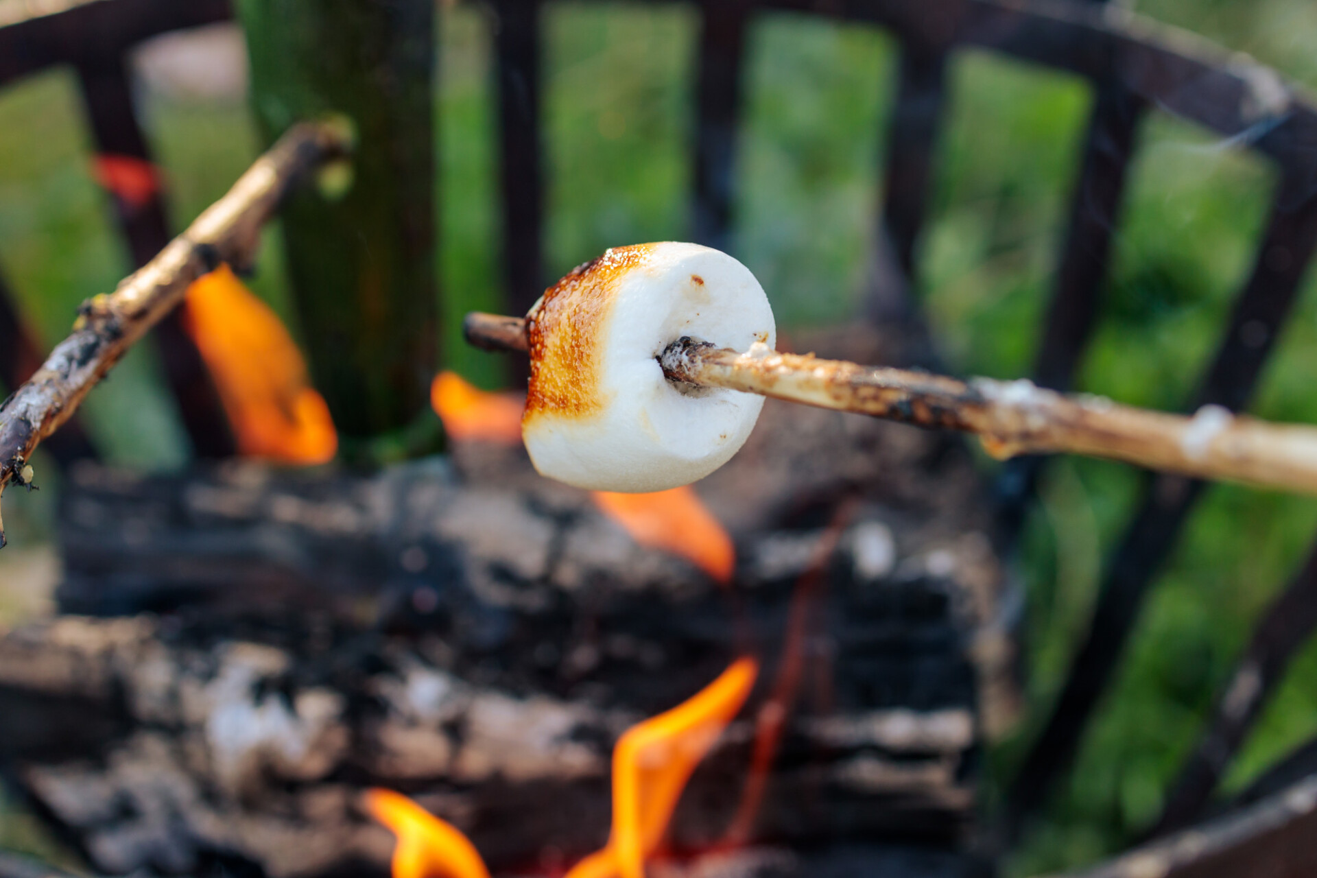 Marshmellow on skewer grilled over fire