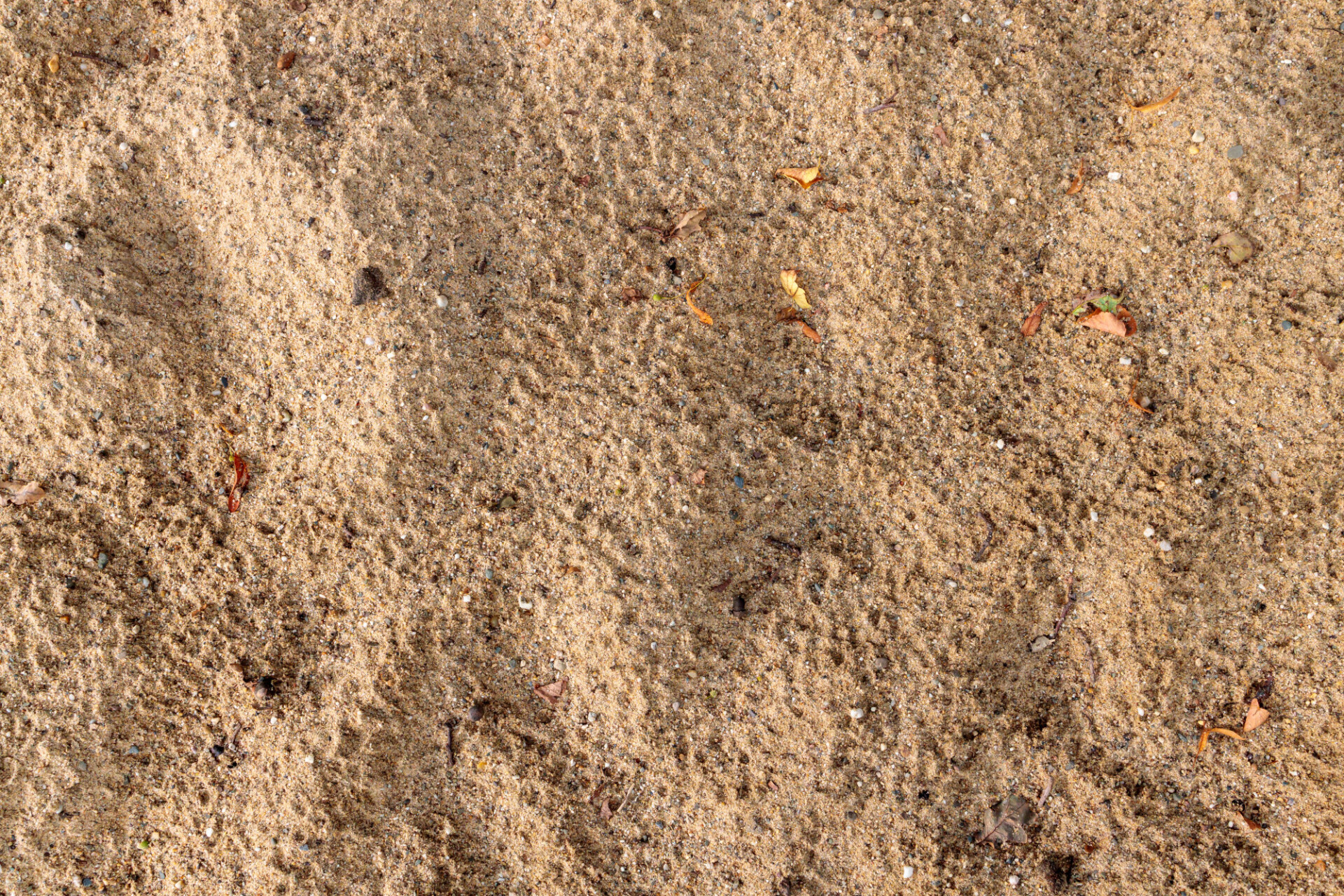 Sandpit Texture