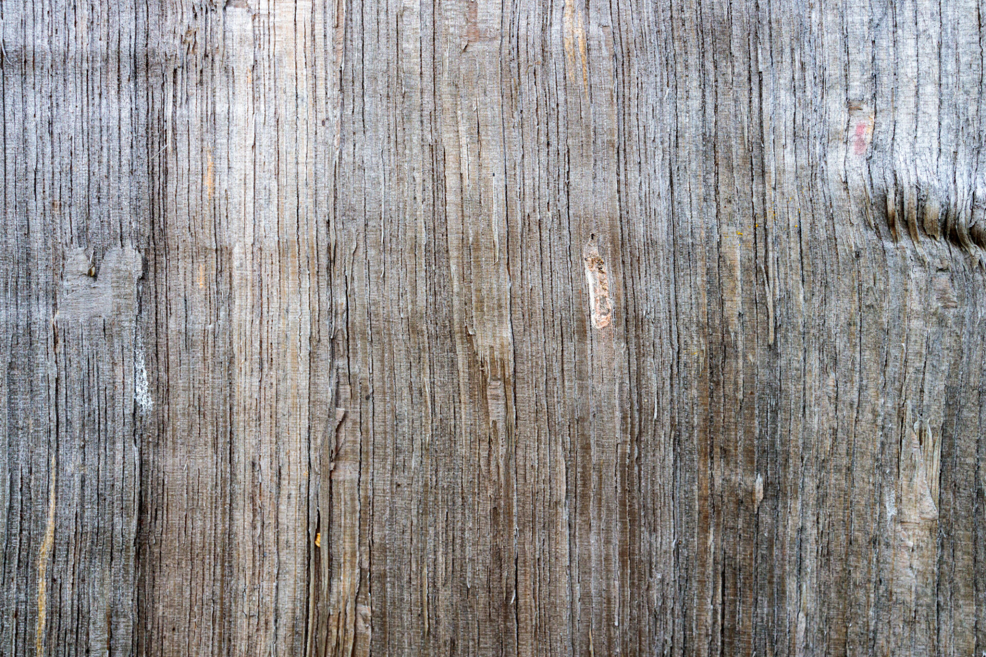 Rough natural wood texture