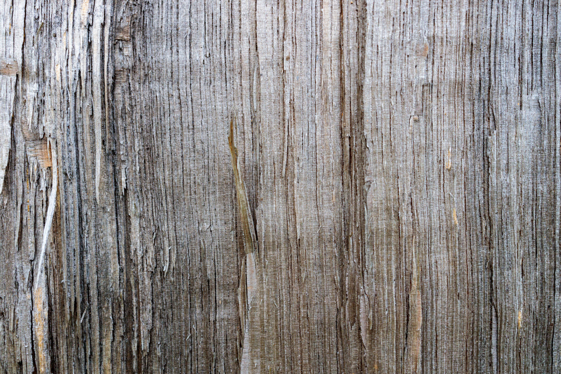 Natural Wood Texture