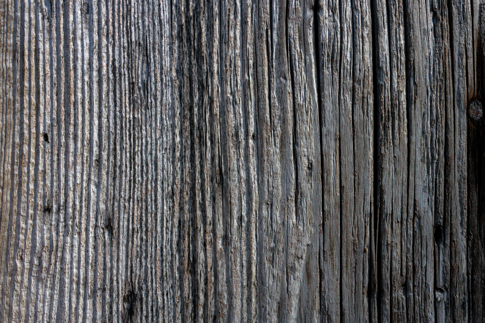 wood background