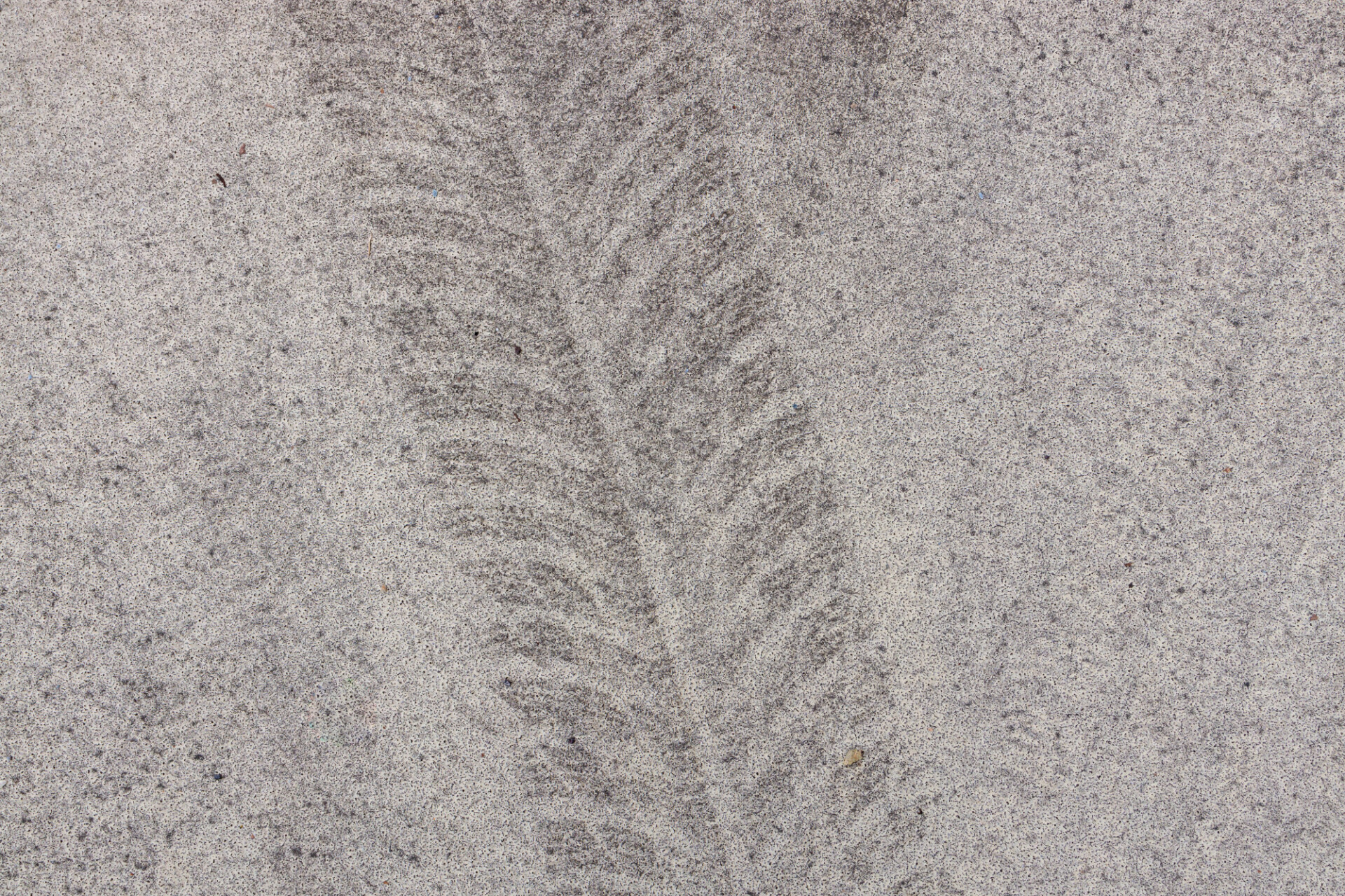 Concrete floor texture with a car tyre track