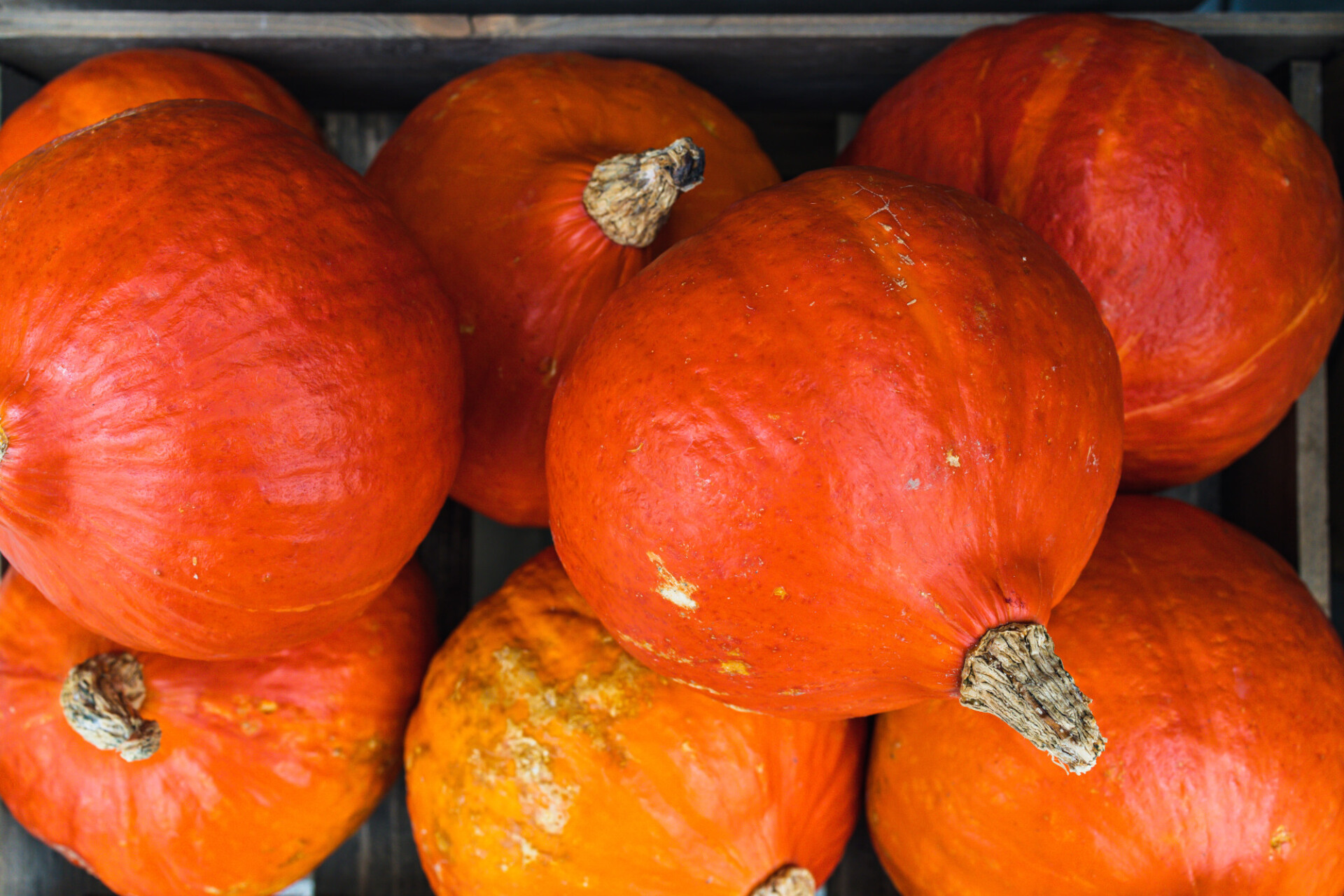 Pumpkins in a wooden box