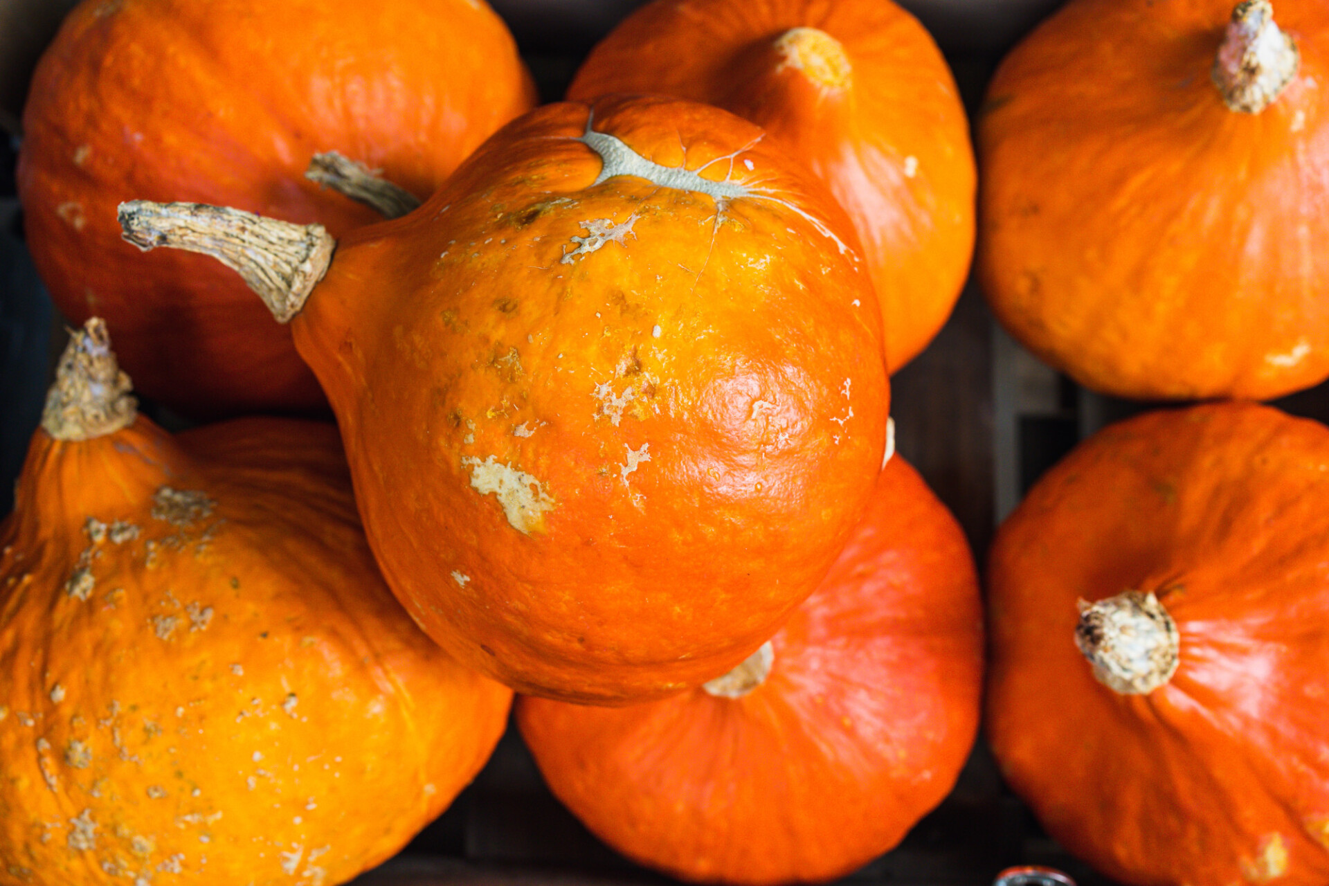 orange pumpkins in a wooden box