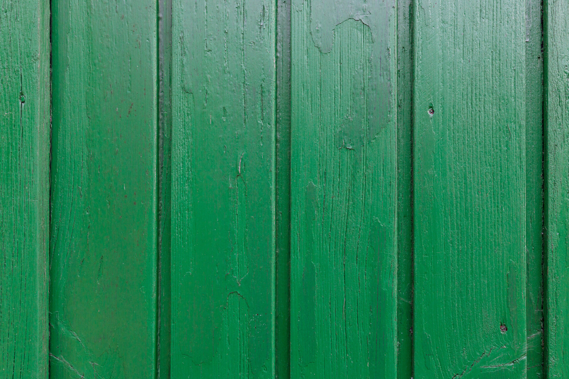 Green wooden wall texture