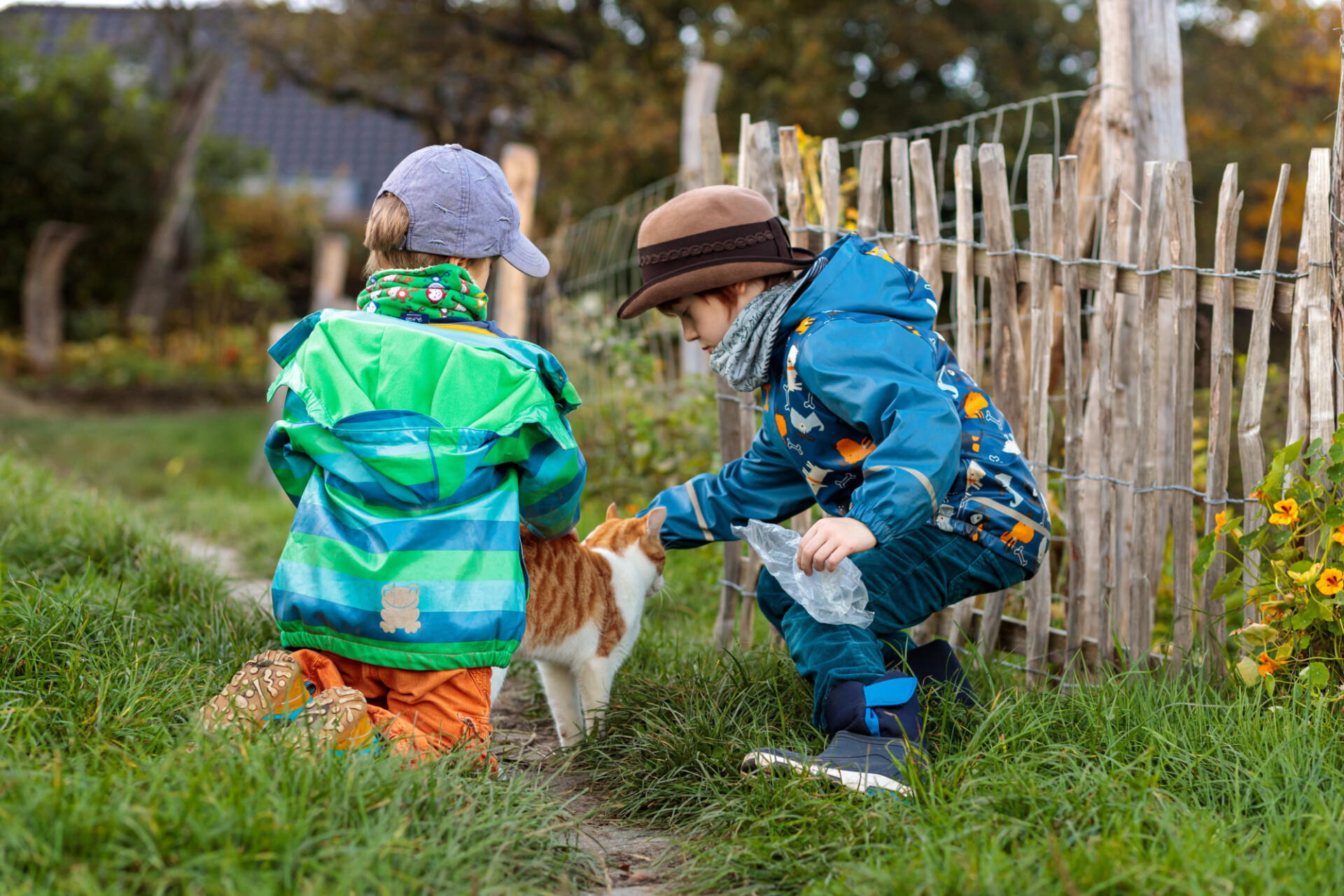 Children petting a cat in the garden