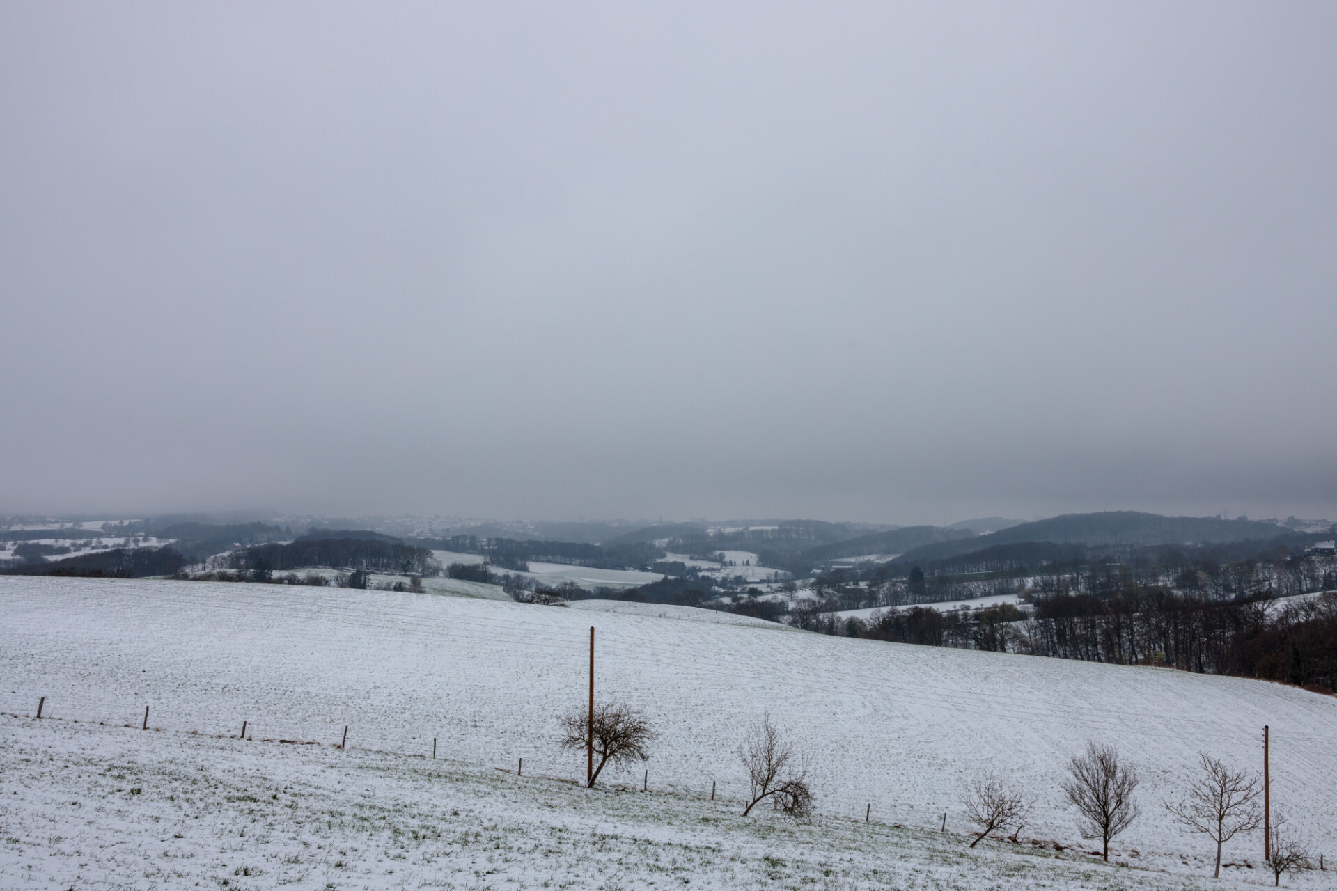 Misty snowy landscape