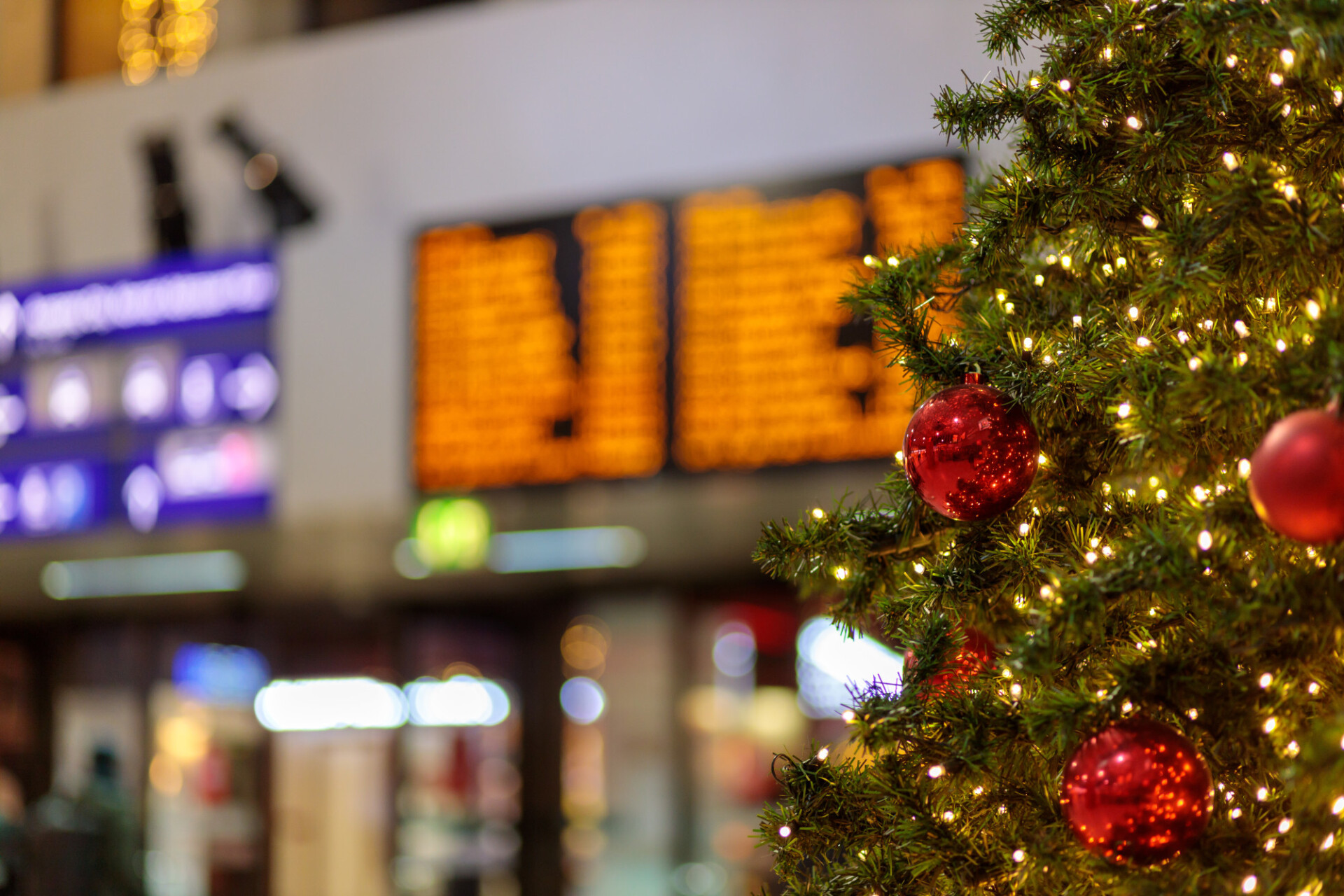 Decorated Christmas tree at a central station