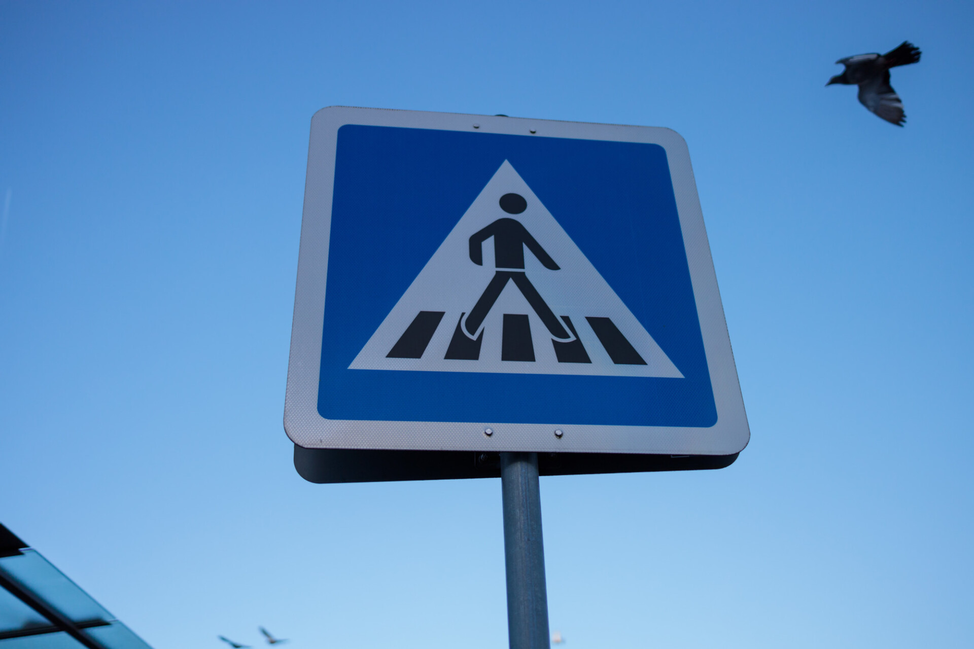 Crosswalk road sign