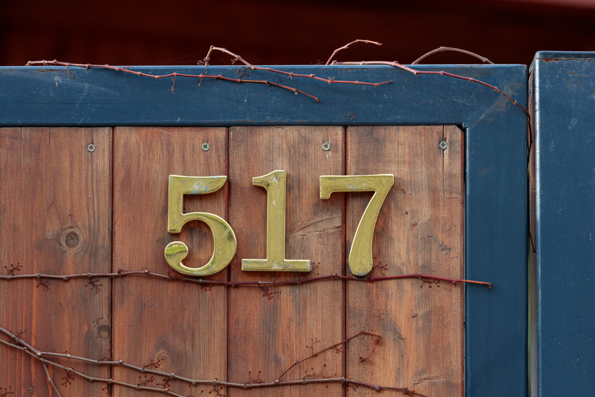 House number 517