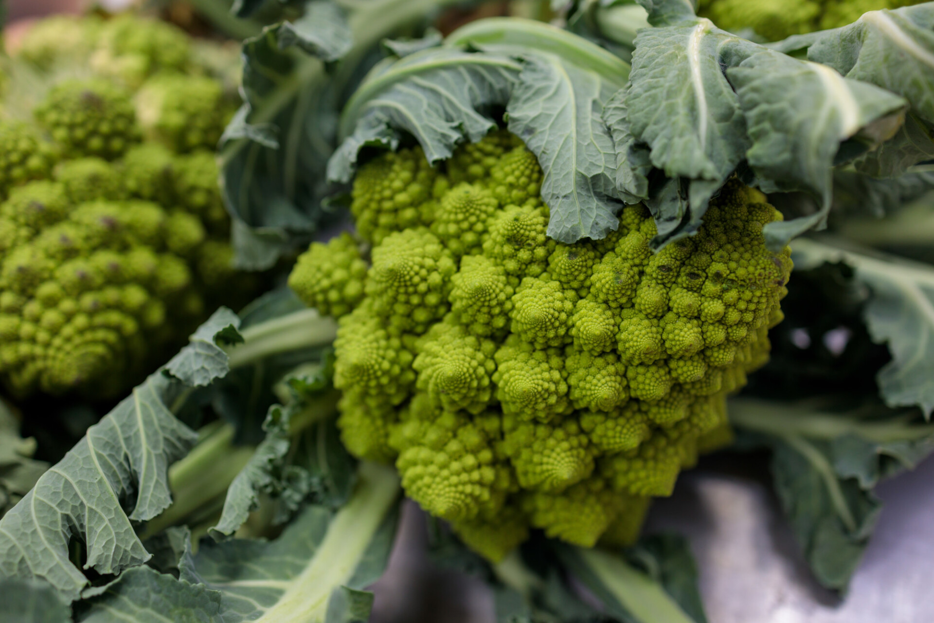 Romanesco broccoli