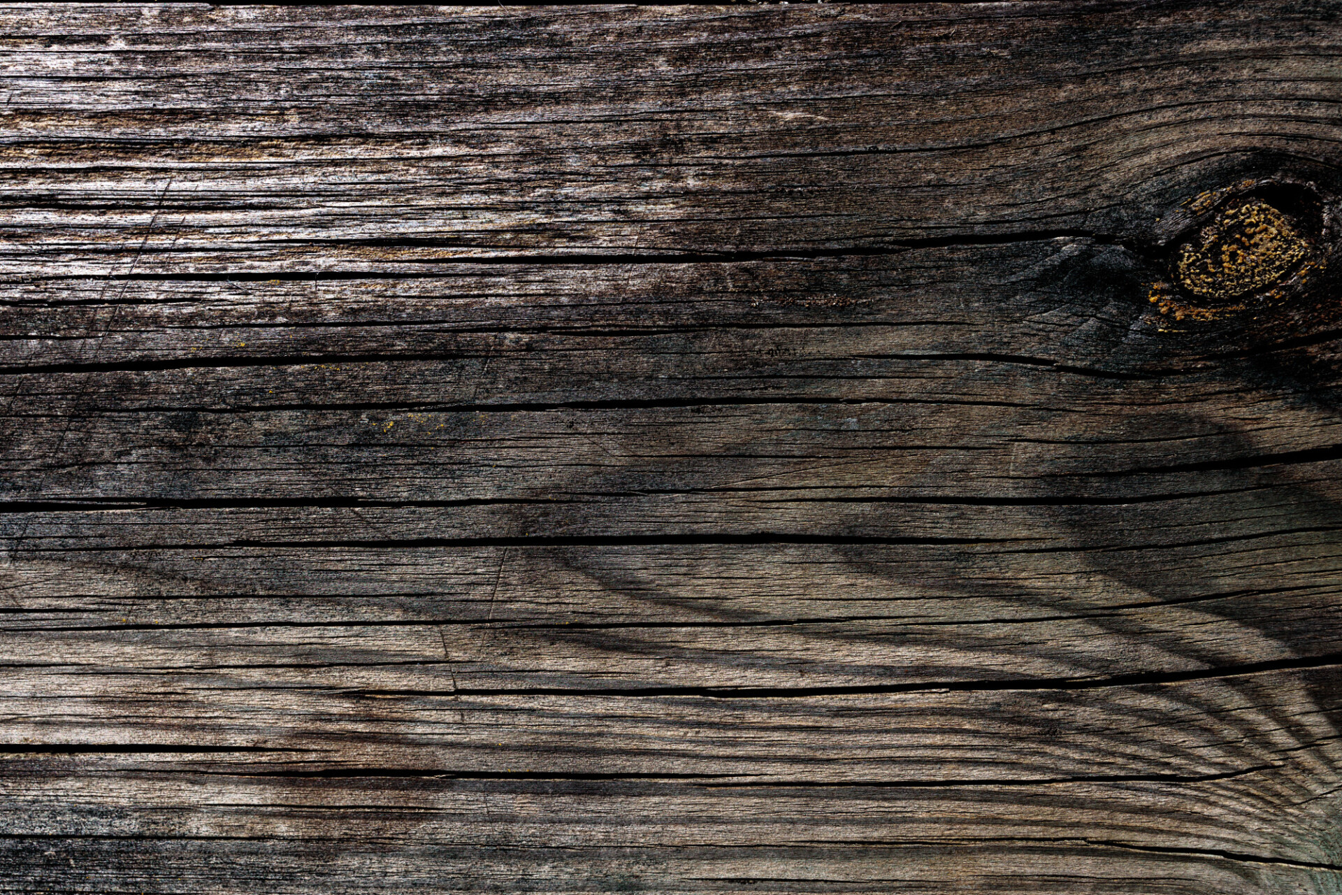 Dark wood texture