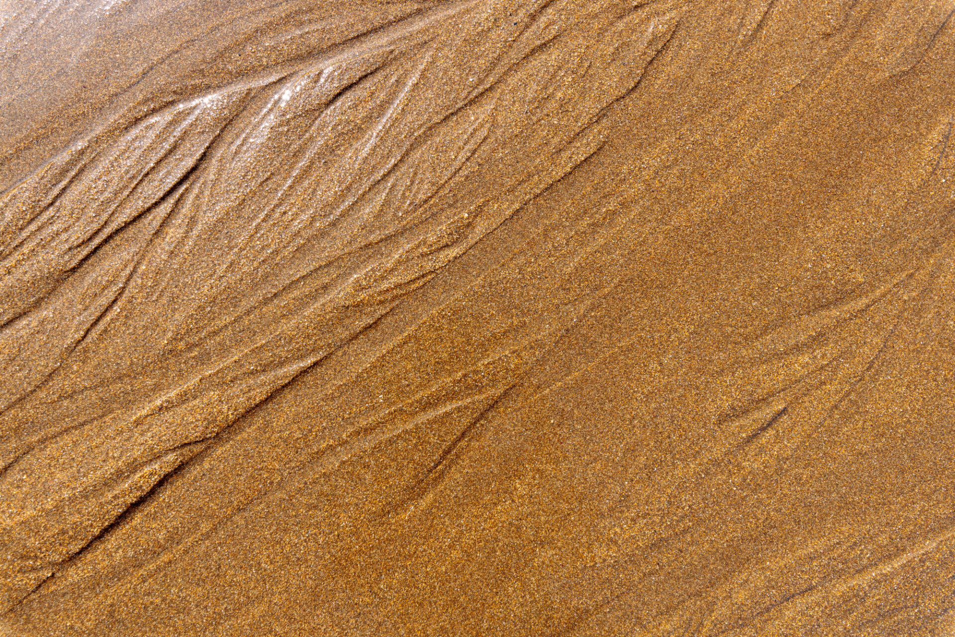 Sand beach texture