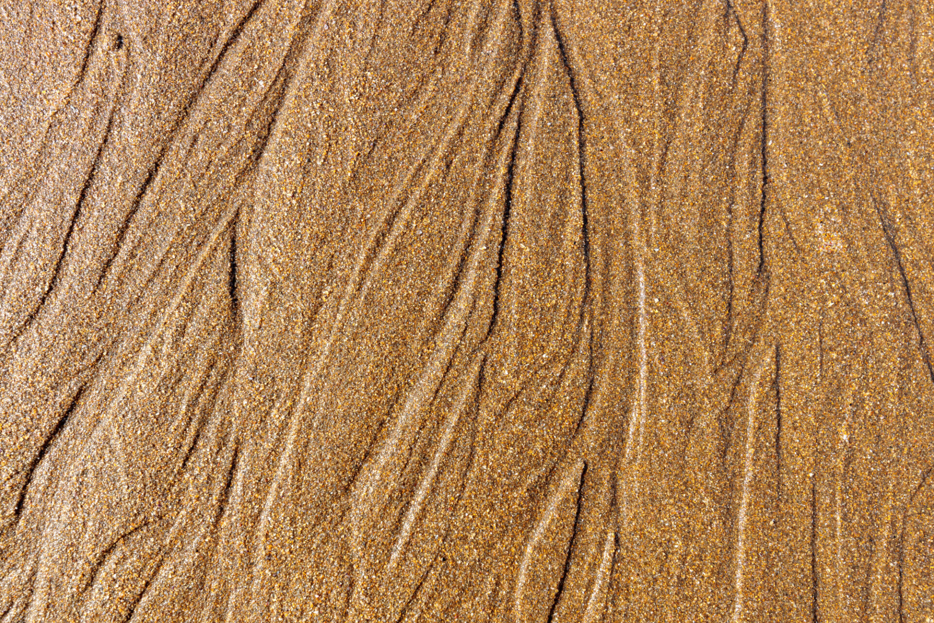 Wet sand beach texture