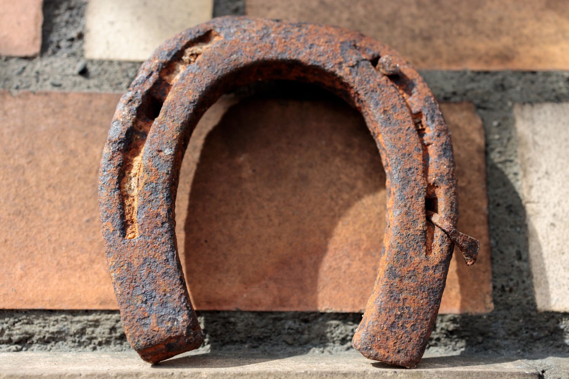 Rusty horseshoe