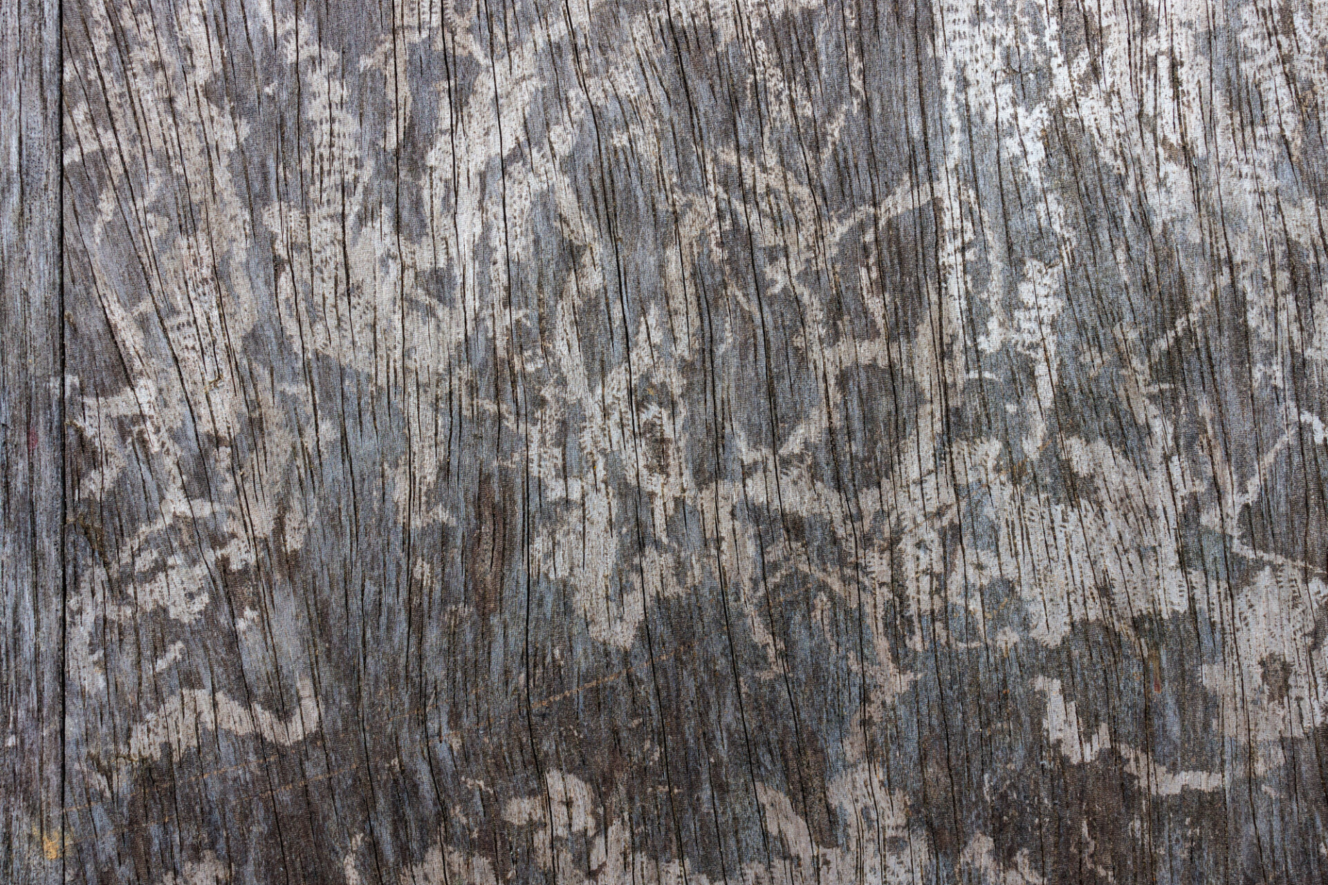 Wood Background