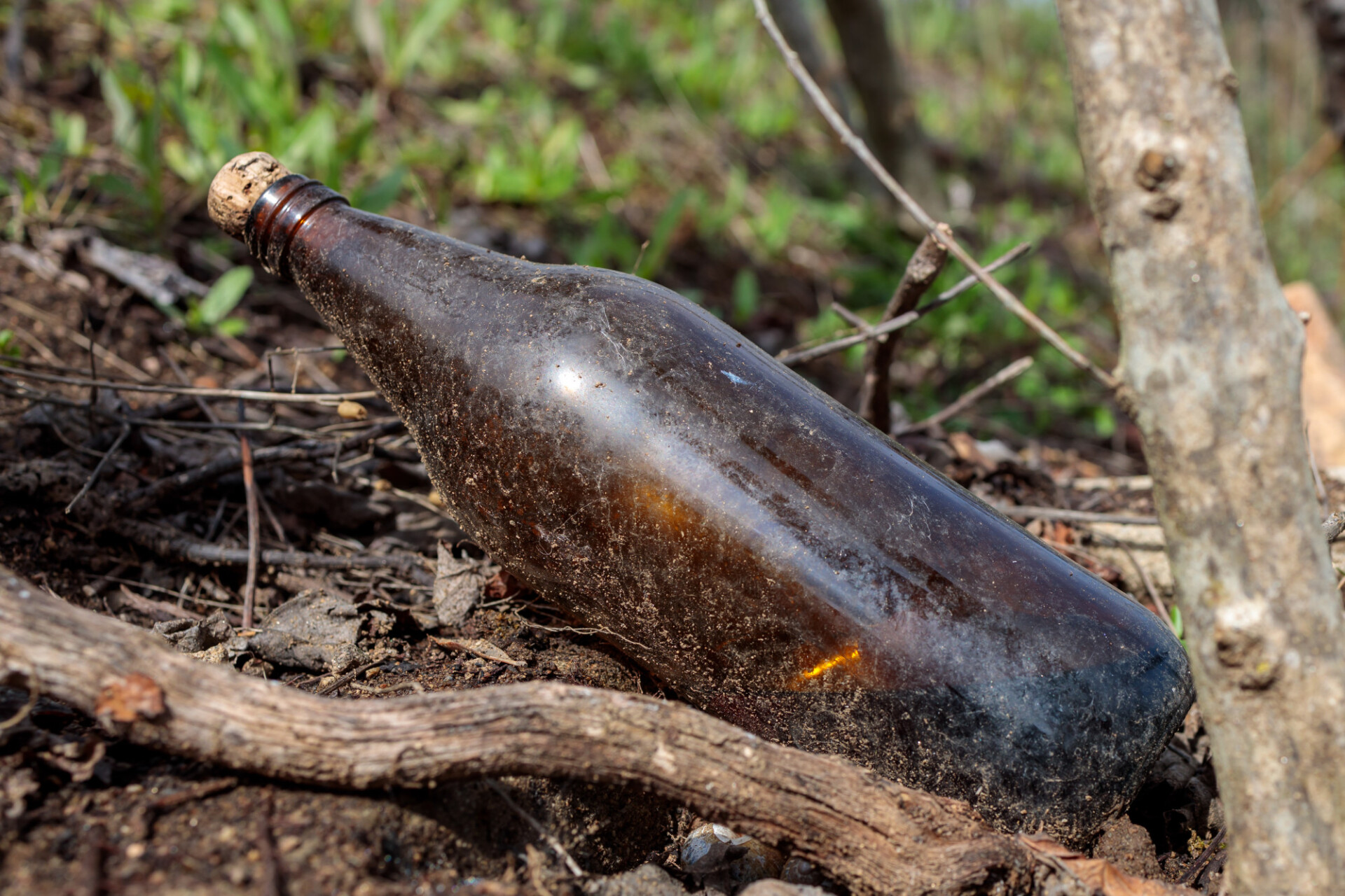 Message in a bottle