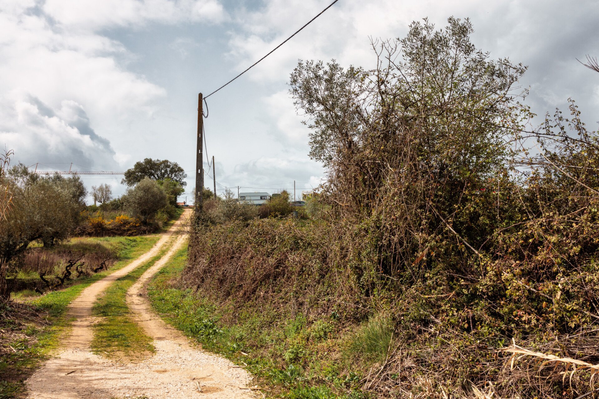 Country Road in Portugal