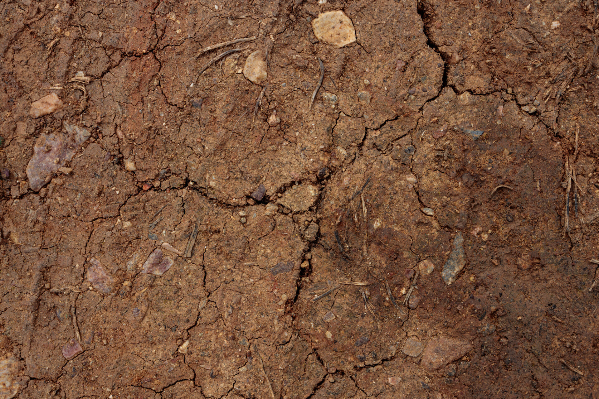 Riverbank clay soil Texture
