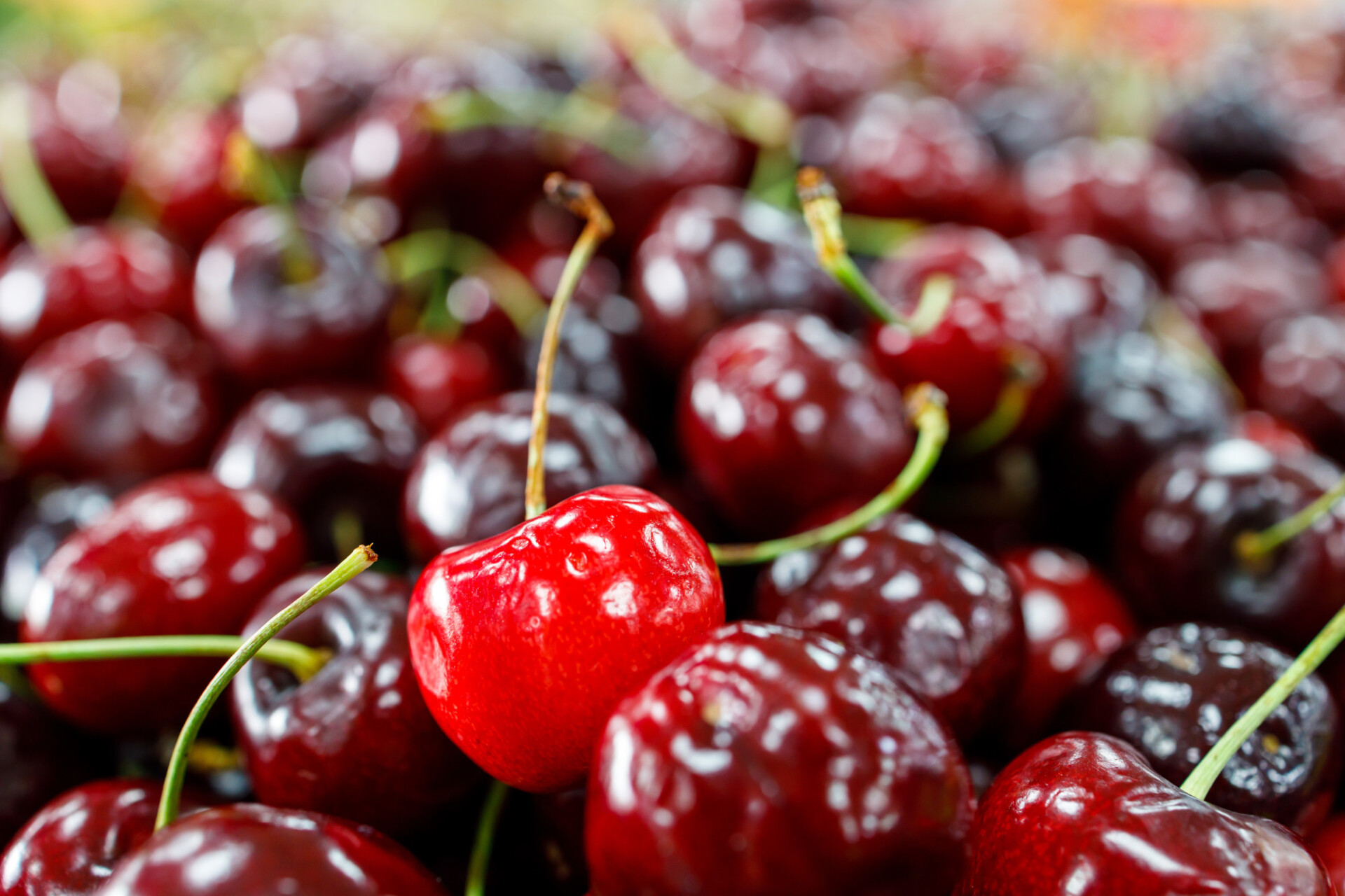 Cherries background