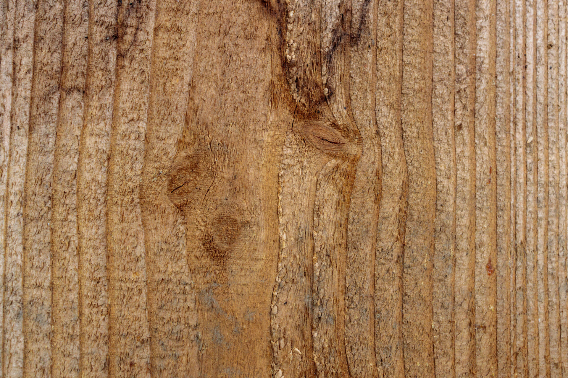 Brown wood texture