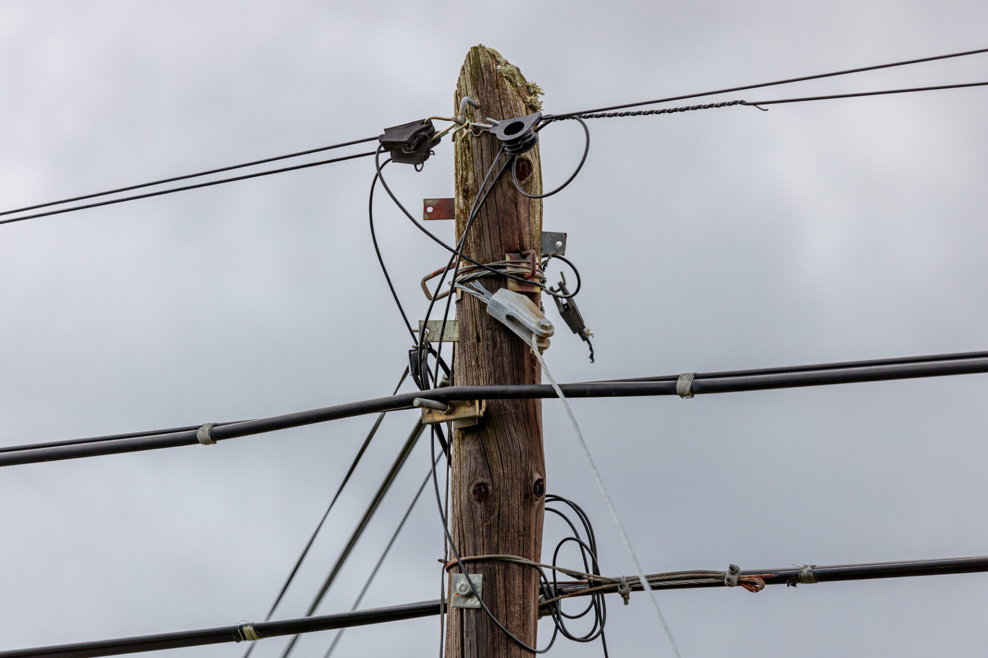 Telephone pole