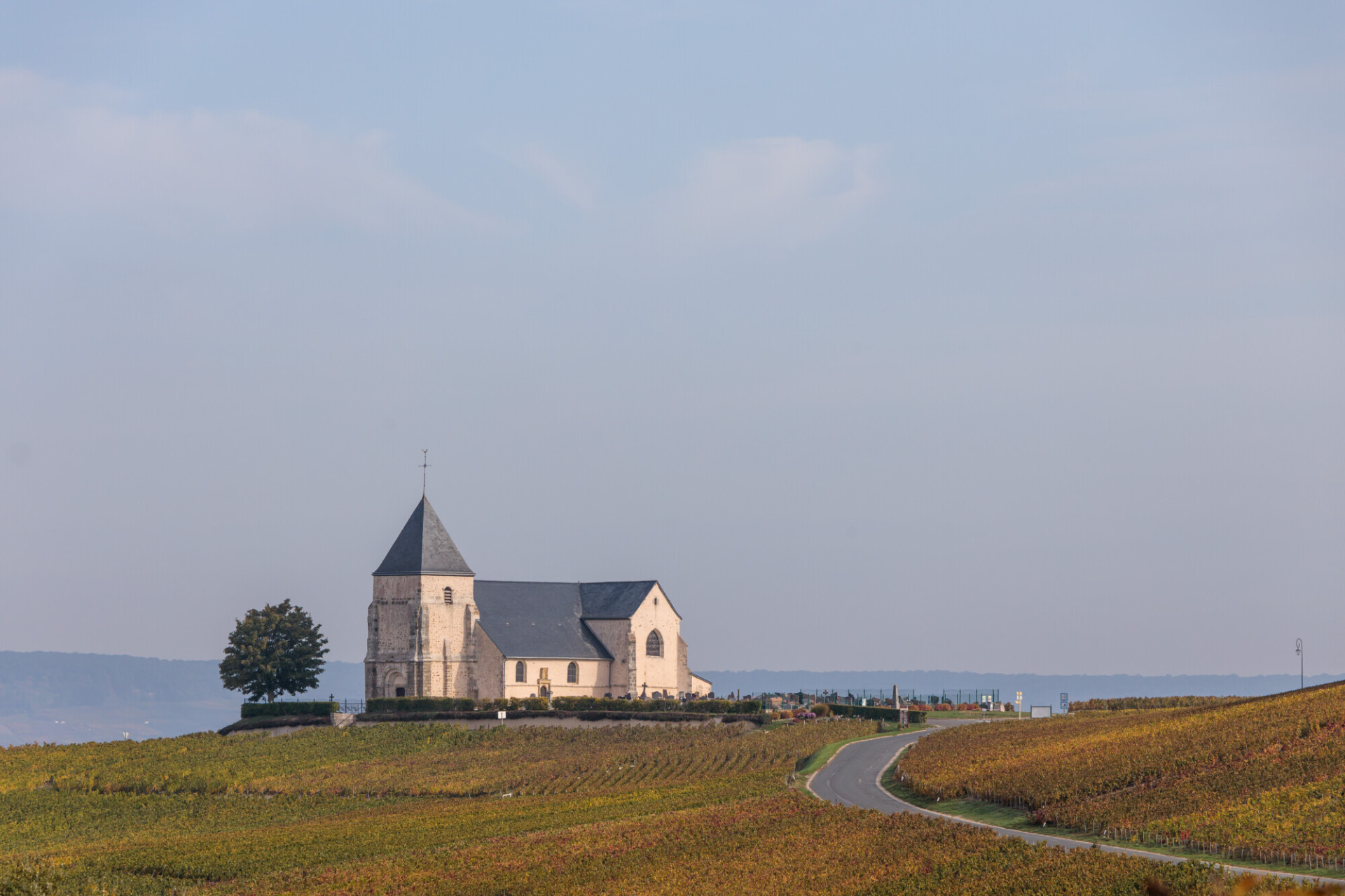 Monastery on a vineyard