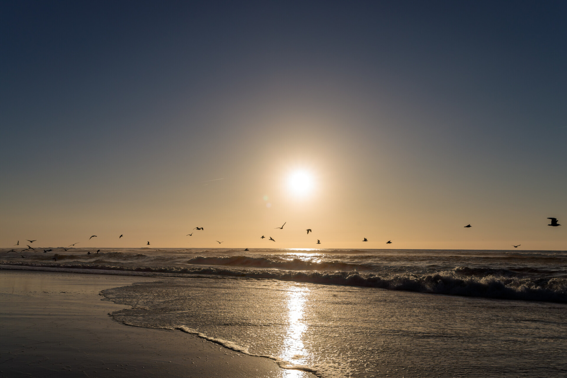 Sunset at the atlantic ocean in Portugal, Nazare and seagulls flying