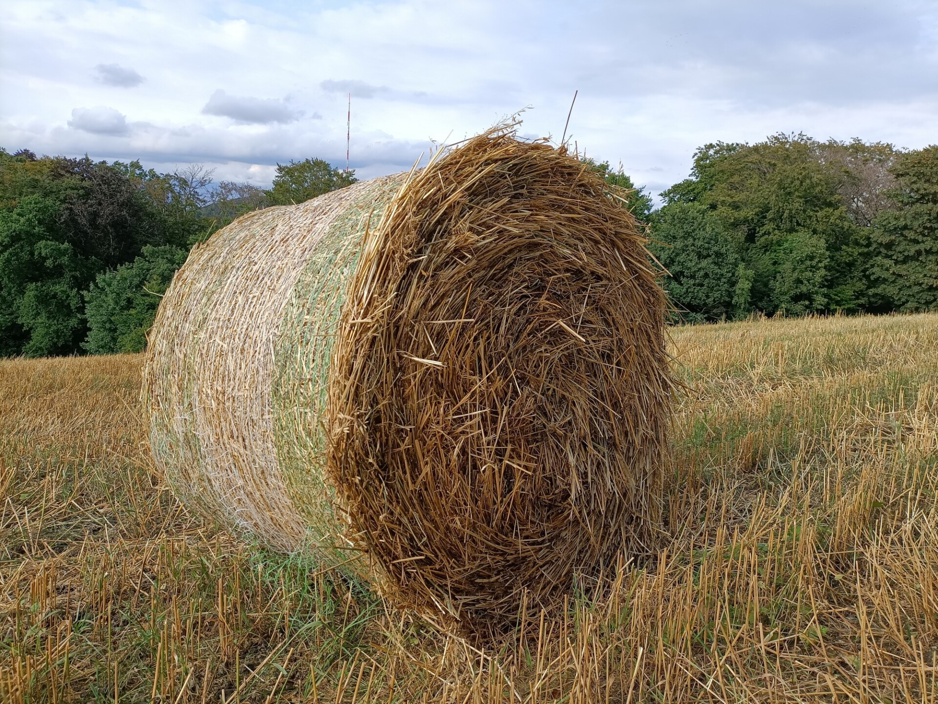 Hay bale on a field in Germany