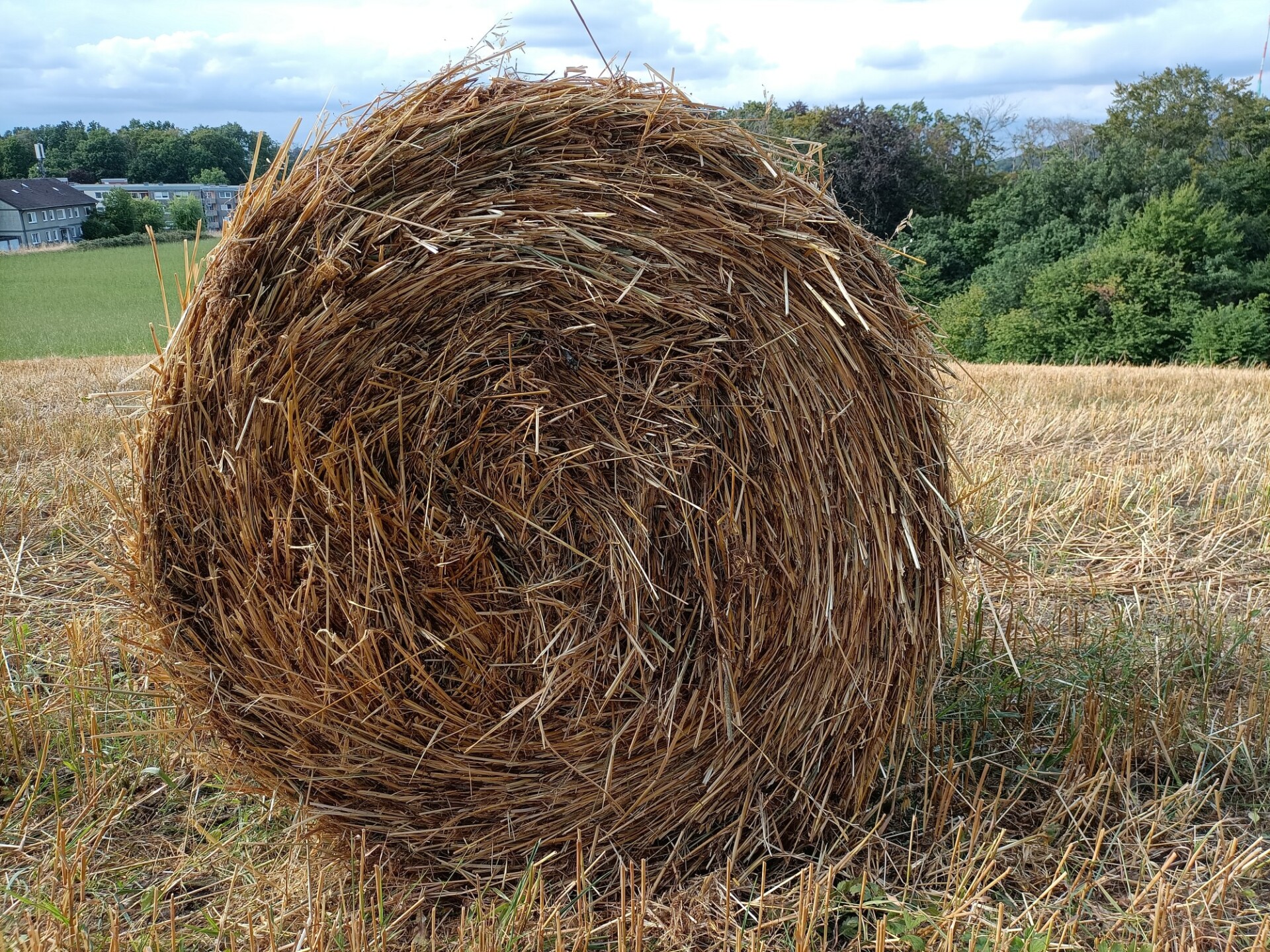 Hay bale