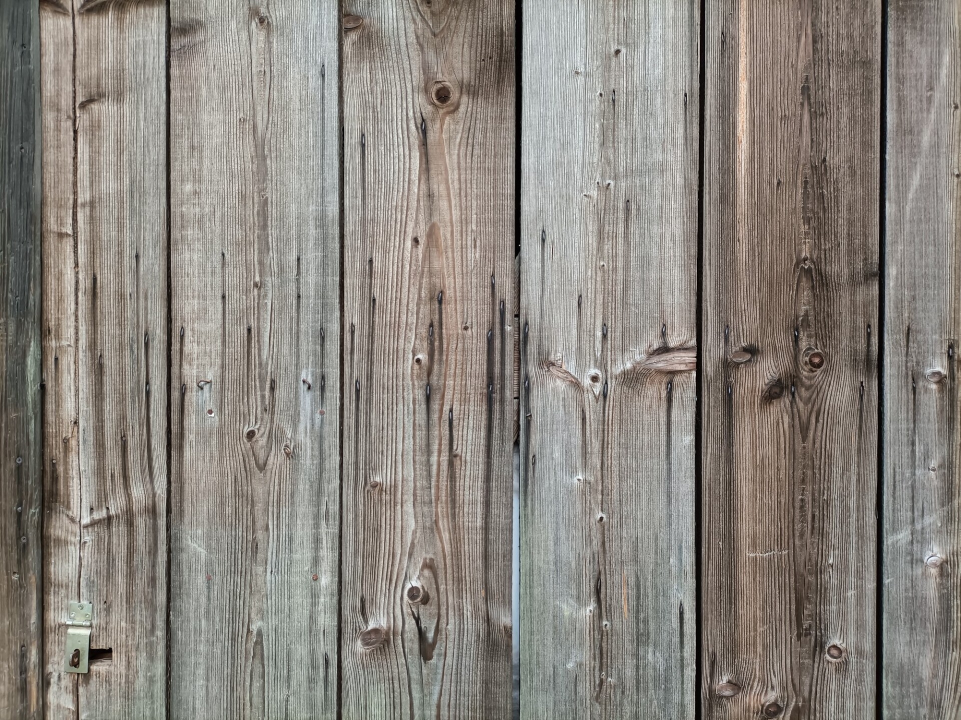 Wood plank Texture