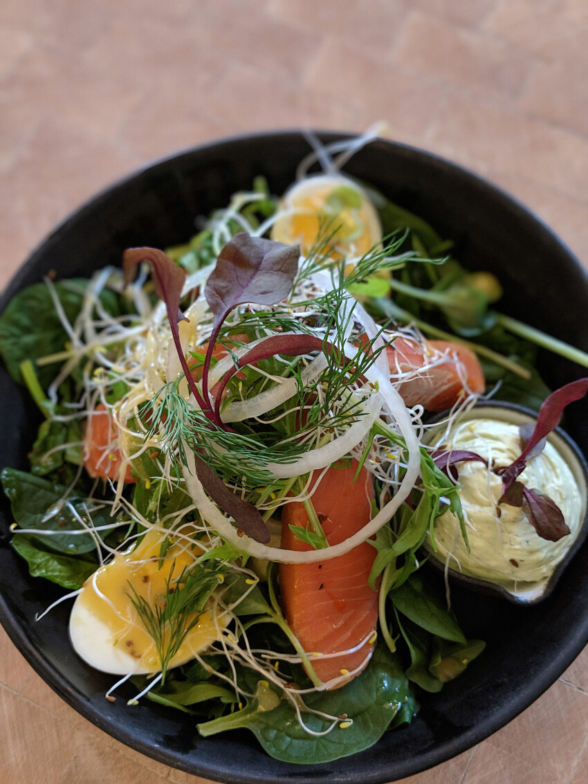 salmon salad