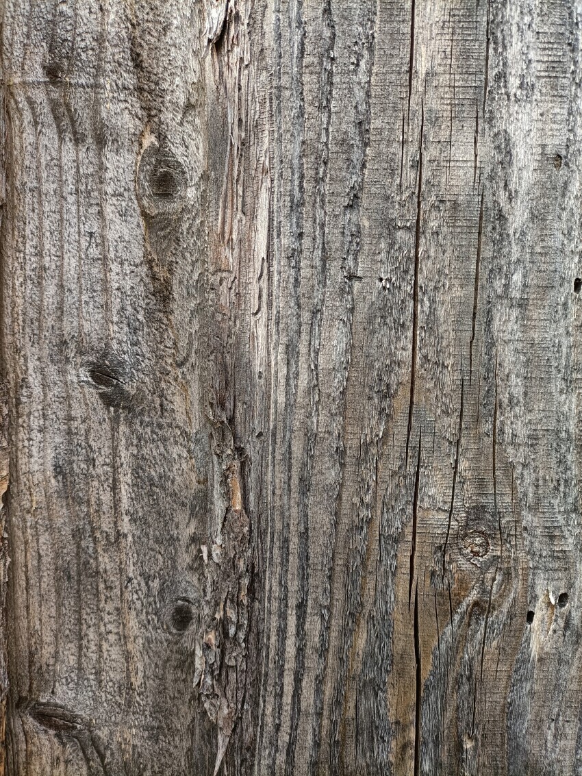 Rough texture of wood