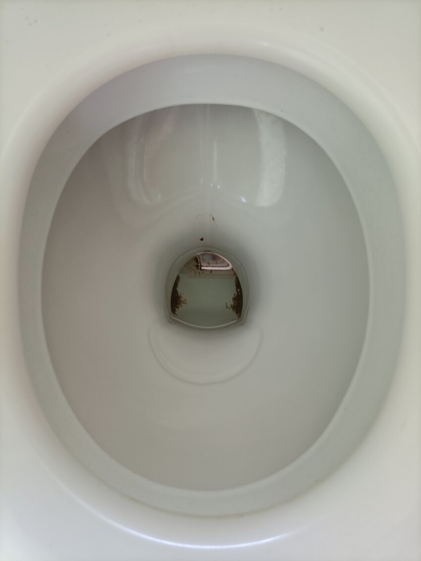 Toilet from inside