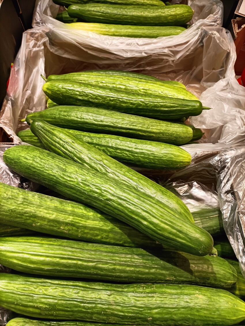 Cucumbers in supermarket