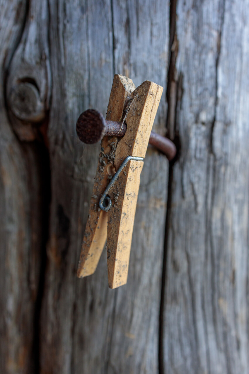 Old wooden clothes peg