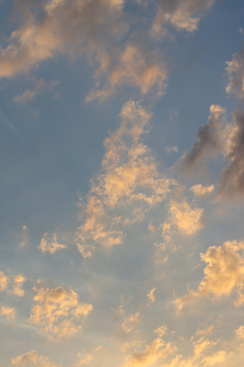 Vertically photographed sky at evening time