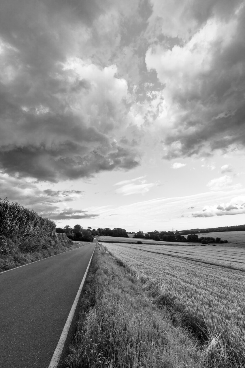 Black and white Vertical rural landscape with country road