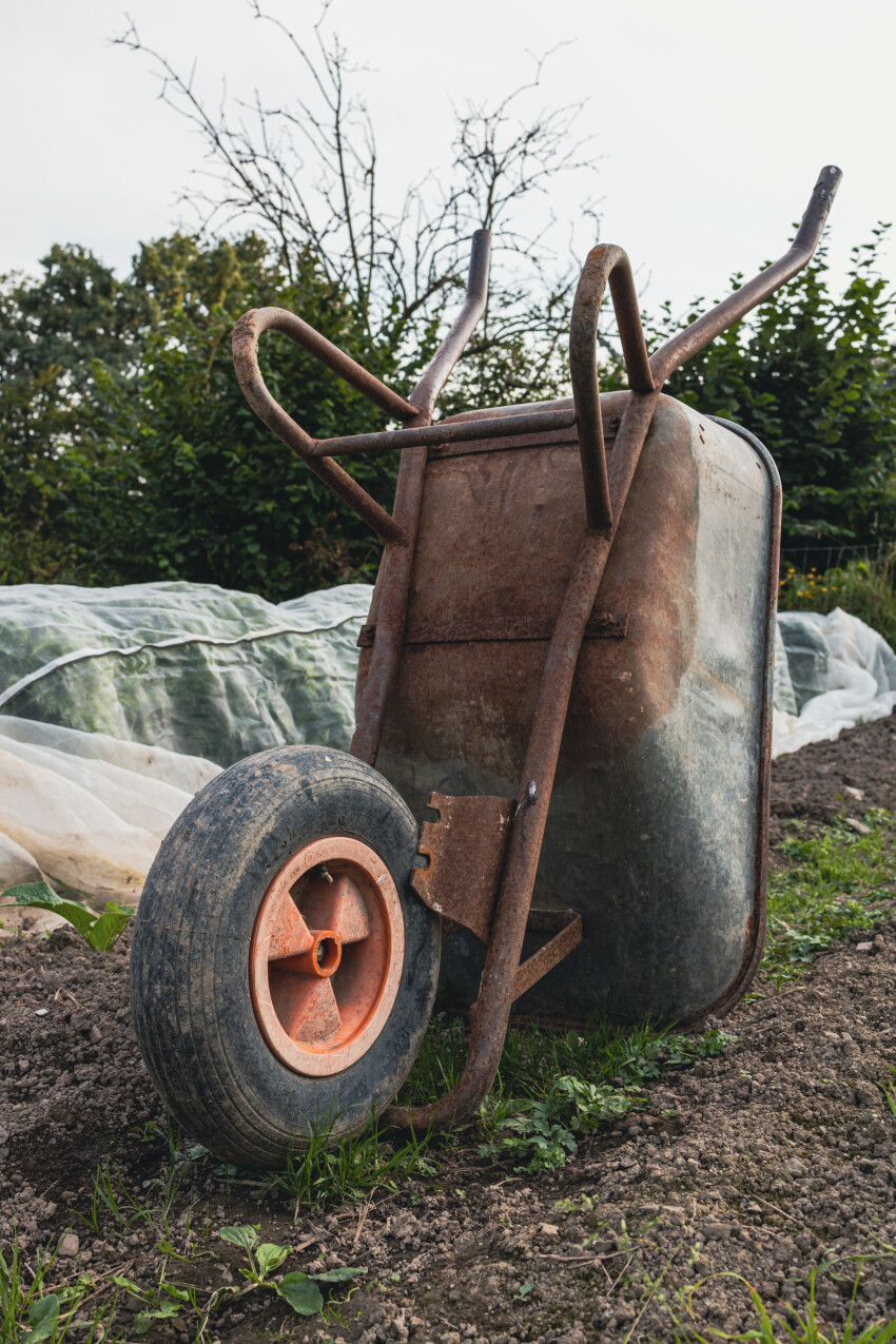 Wheelbarrow on a field