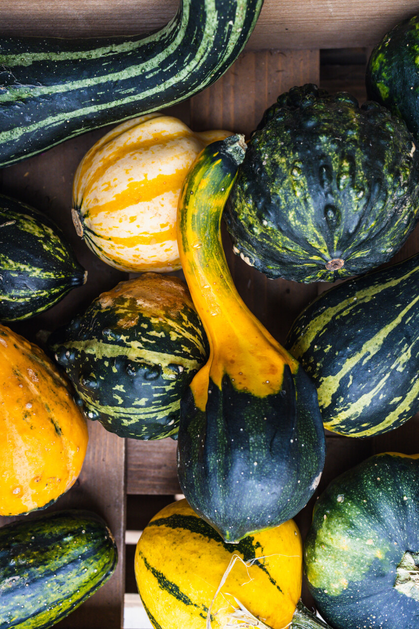 Colourful pumpkins in a wooden box