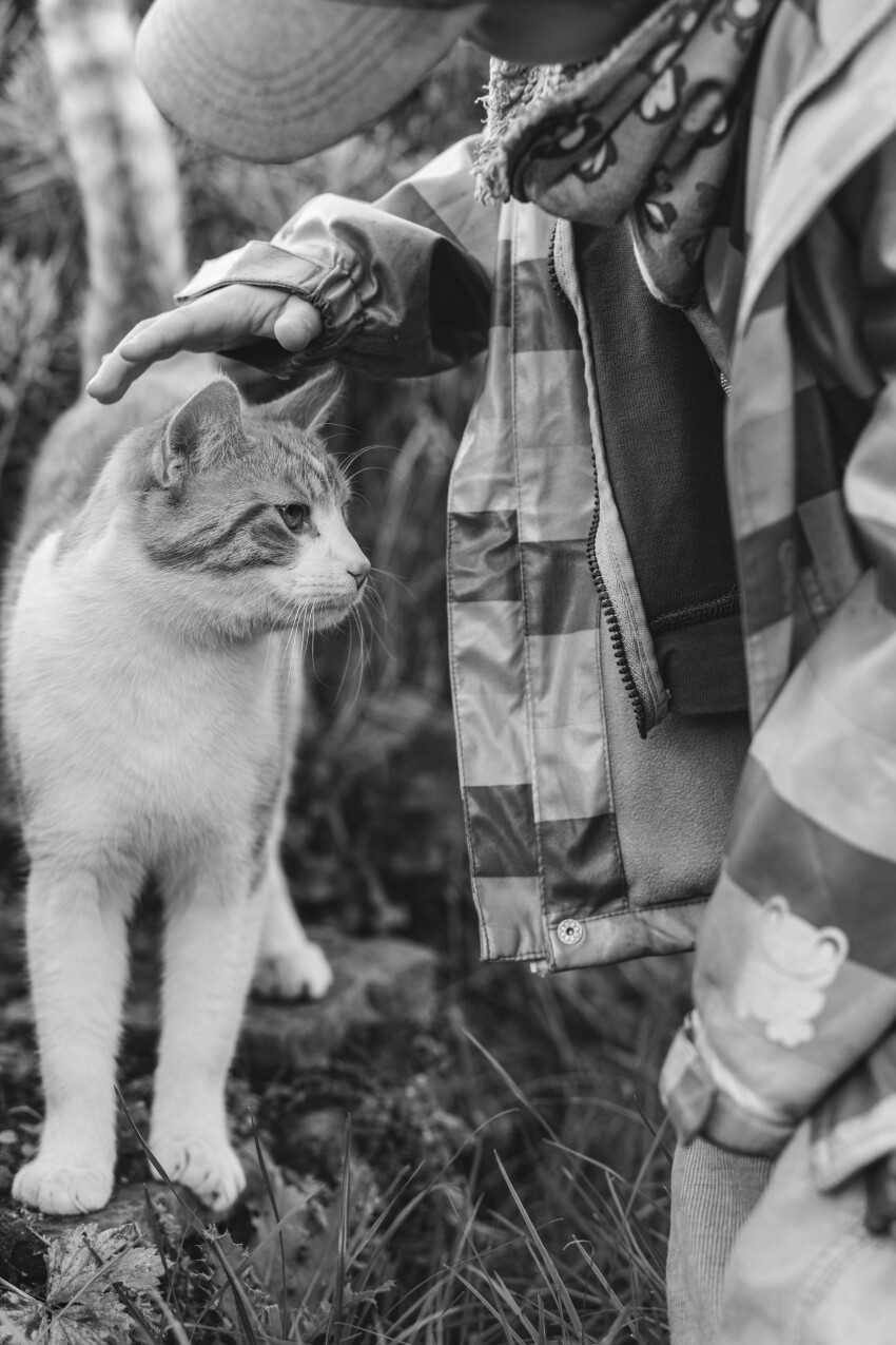 Child strokes cat