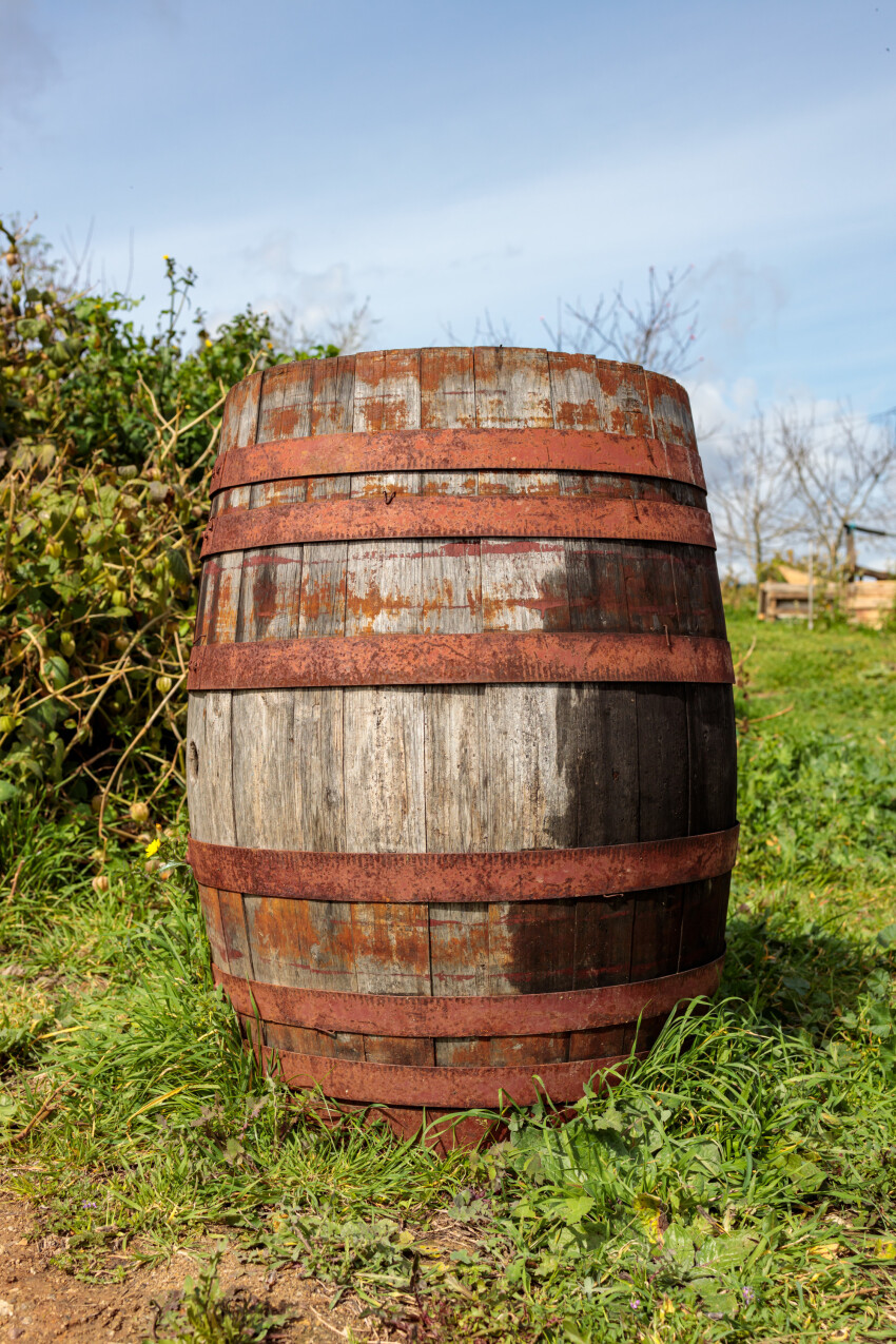 Old wooden barrel in the garden