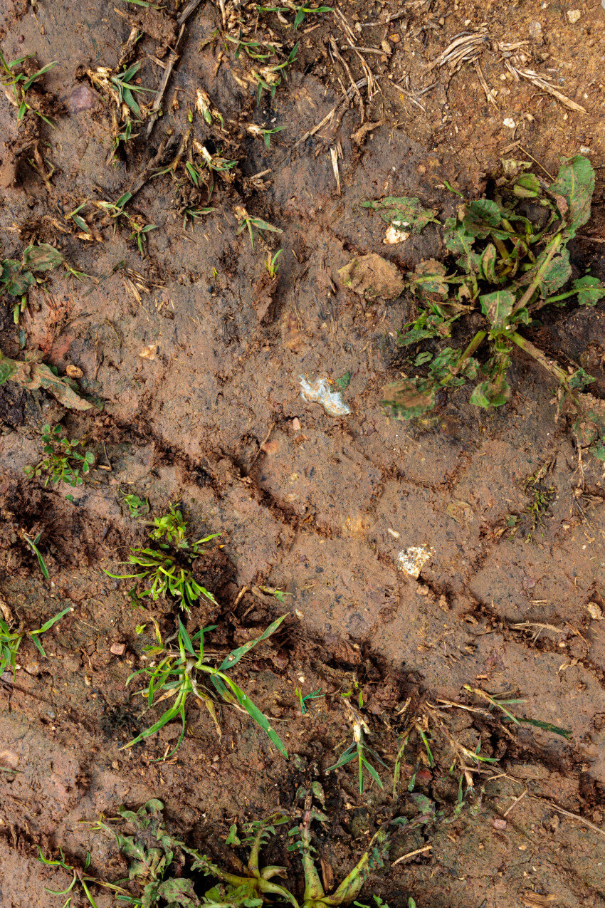 Car tracks in the mud texture