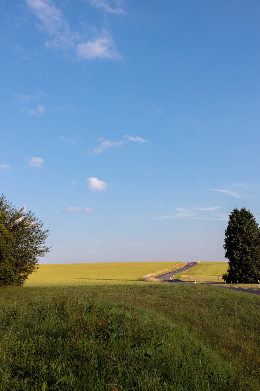 Volcanic Eifel, Manderscheid Country Road - Rural Landscape