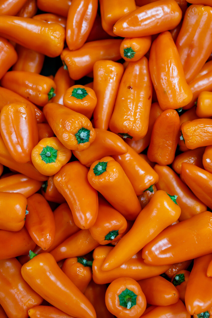 orange sweet peppers