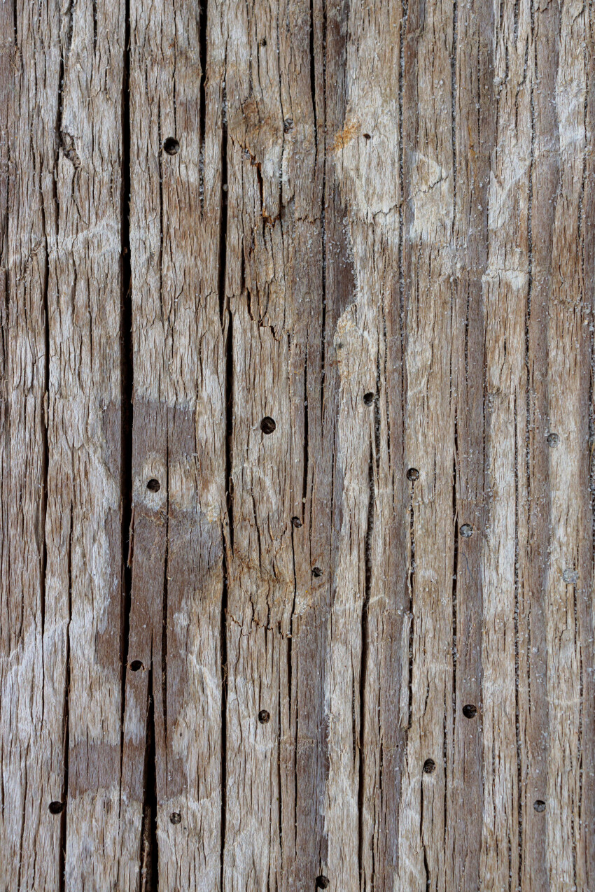 Gray brown wood texture with holes
